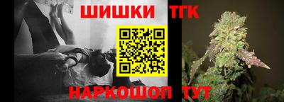 тгк Камышлов