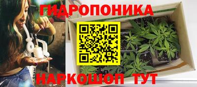эйфоретик Кимры