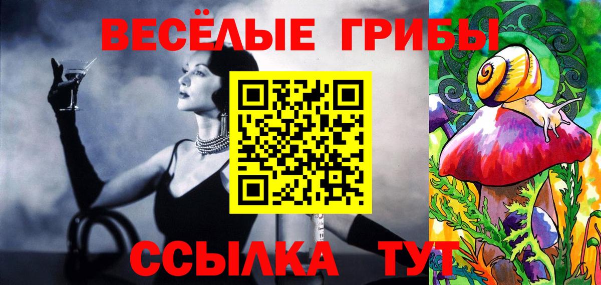 Псилоцибиновые грибы Psilocybine cubensis Ялуторовск