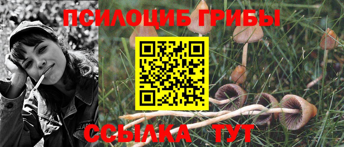 Псилоцибиновые грибы Psilocybe  Вход с VPN  продажа наркотиков  Псилоцибиновые грибы мухоморы  Ялуторовск 
